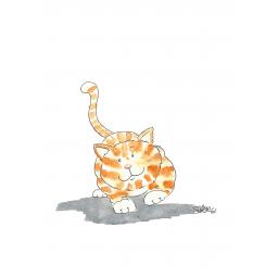 Cat .jpg